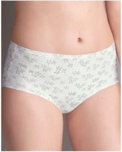 Culotte Taille Haute Anita Confort Clara Art (Crystal)