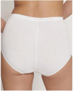 Culottes Basic + Maxi (Lot De 4) Sloggi (Blanc/Nightfall/Blueberry/Gris) -Sous Vêtement Boutique culottes basic maxi lot de 4 sloggi blancnightfallblueberrygris 3