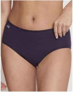 Slips Basic + Midi (Lot De 4) Sloggi (Blanc/Nightfall/Blueberry/Gris) -Sous Vêtement Boutique slips basic midi lot de 4 sloggi blancnightfallblueberrygris 1